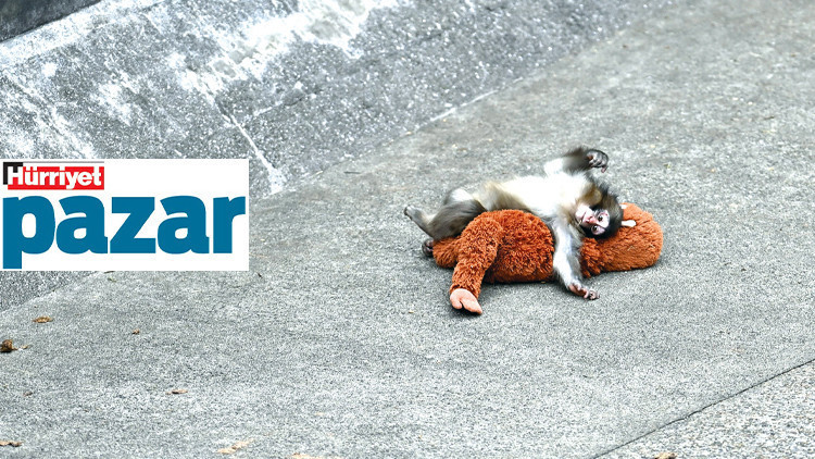 Seller, denizler ve Punch... Seller, denizler ve Punch...