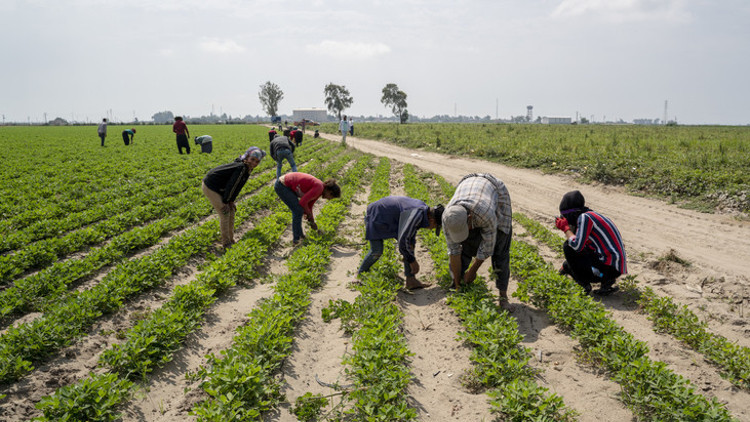 Çocuğunu okula göndermeyene para cezası