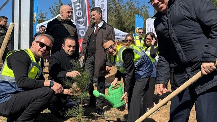 Tekirdağ Şarköydeki yanan ormana 10 bin fidan dikildi