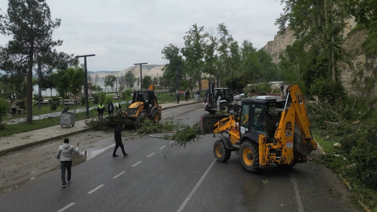 Şanlıurfada fırtınada devrilen ağaçlar kaldırılıyor