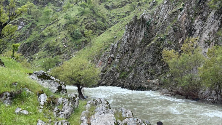 Muş’ta çaya düşen kadını arama çalışmaları sürüyor Muş’ta çaya düşen kadını arama çalışmaları sürüyor