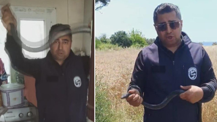 Yılancı Kemal eve giren yılanı eliyle yakaladı