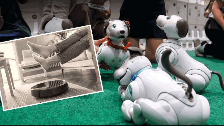 Robot süpürgeler geçmişte kaldı: Yeni asistanlar tehlikeli olabilir