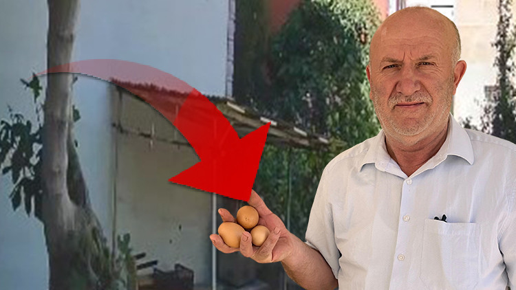 Delil var ama polise gidemiyoruz | Sürekli aynısı oluyordu: Kamera kurunca hayrete düştü Delil var ama polise gidemiyoruz | Sürekli aynısı oluyordu: Kamera kurunca hayrete düştü