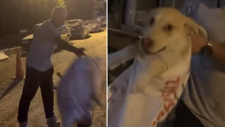 Hatayda köpeği çuvala koyularak götürülmek istenen köpeği, hayvansever kadın kurtardı