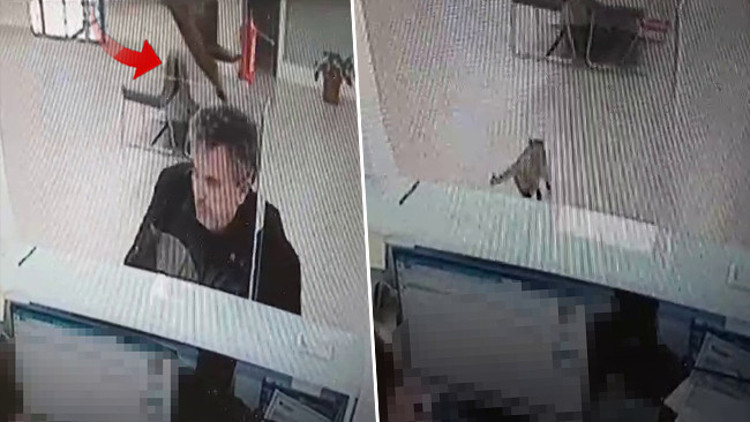 Bankada işlem yaparken hayatının şokunu yaşadı: Millete gökten para düşer bizim nasibimize kedi düştü