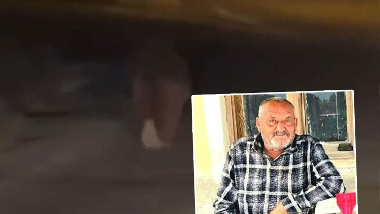  Evinin balkonunda uyurken ayı saldırısına uğradı Hastanede hayatını kaybetti
