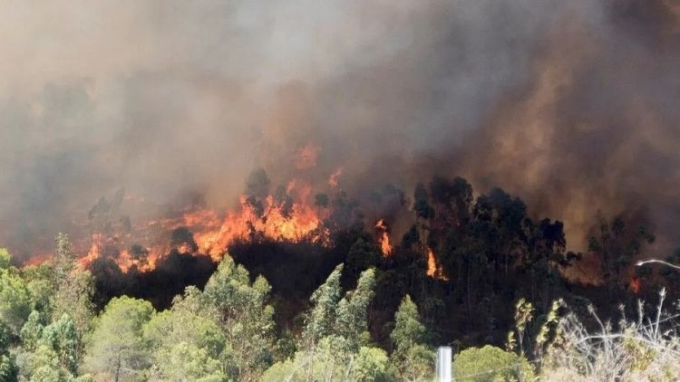 Balıkesir’de peş peşe 3 ayrı noktada yangın... Alevlerle mücadele sürüyor