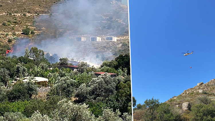 Bodrumda otluk ve makilik alanda yangın
