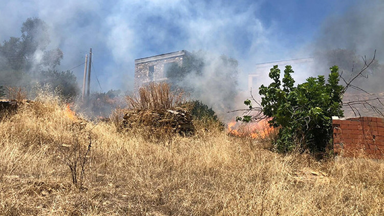 Bodrumda otluk alanda çıkıp ormana sıçrayan yangın söndürüldü