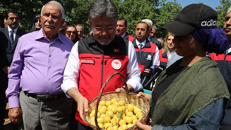 Türkiye kayısı üretiminde dünyada zirvede