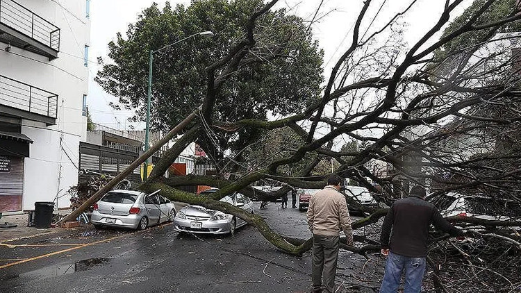 Almanya’da şiddetli fırtına: 1 ölü, 3 yaralı