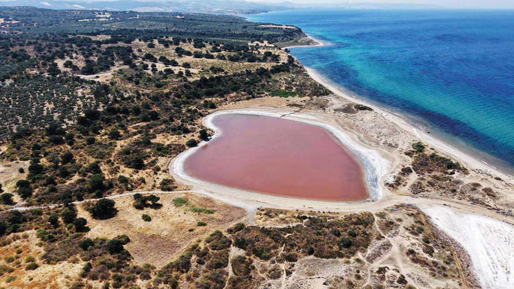 Hem kalp hem pembe Hem kalp hem pembe