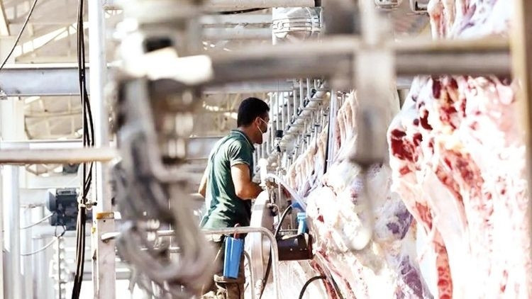 Kesimhanelere kamera zorunluluğu geliyor