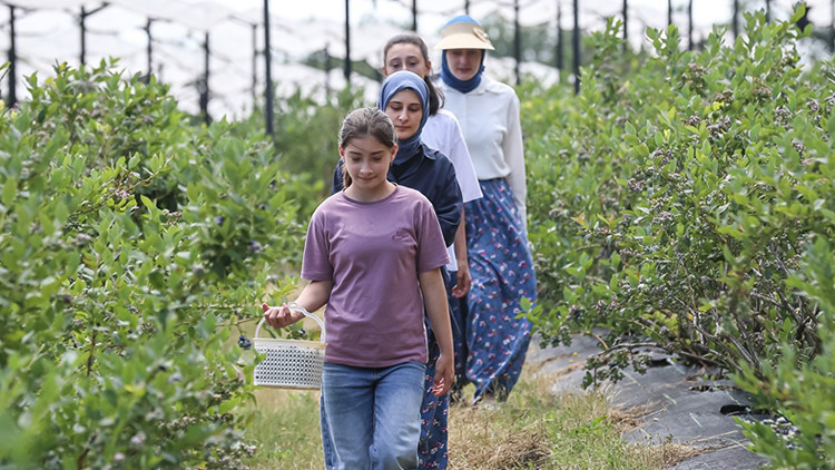 Köye dönüş yaptılar, şimdi dünya pazarına ürün satıyorlar