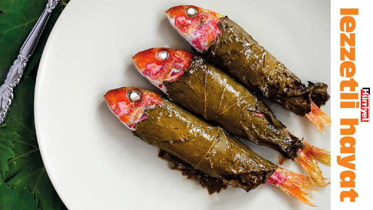 Asma yaprağının binbir hali