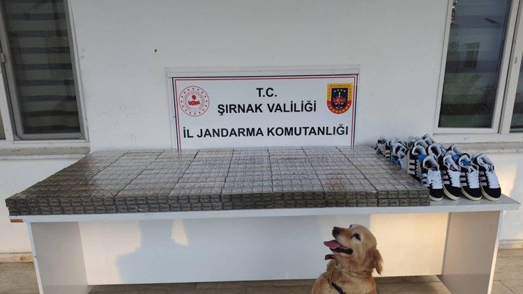 Şırnakta 9 milyon liralık kaçak ürün ele geçirildi Şırnakta 9 milyon liralık kaçak ürün ele geçirildi