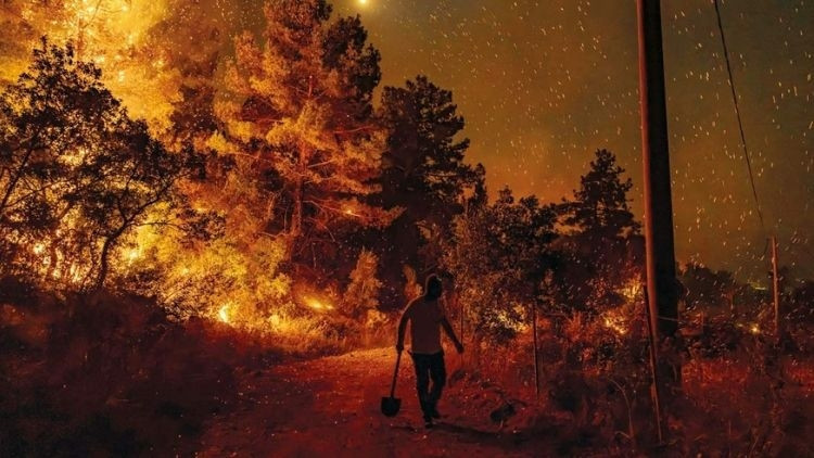 Yumaklı’dan ‘En riskli bir hafta’ uyarısı: Ormanları yakan 3 çıra bir arada… Düşük nem, yüksek ısı, şiddetli rüzgâr...