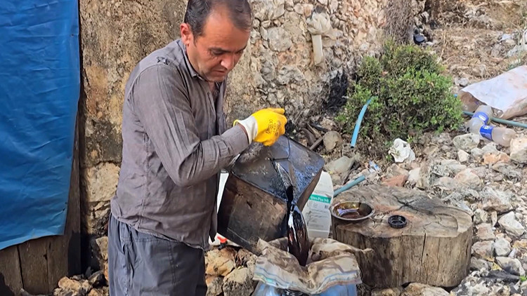 Dağdan topluyor, varilde işliyor: Kilosu 1000 liraya satılıyor
