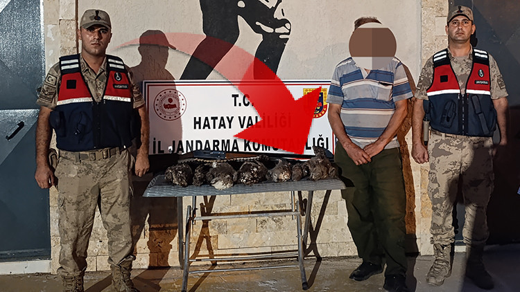 1 milyon 356 bin TL ceza kesildi 1 milyon 356 bin TL ceza kesildi