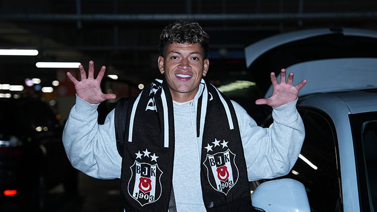 Elan Ricardo Elan Ricardo
