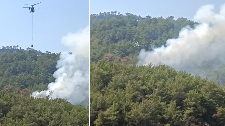 Adana Kozanda orman yangını Alevlere havadan ve karadan müdahale ediliyor Adana Kozanda orman yangını Alevlere havadan ve karadan müdahale ediliyor
