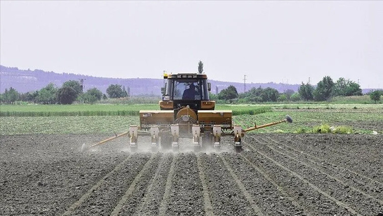 Lisanslı depoculukta yeni dönem: Ücret tarifeleri değişebilecek