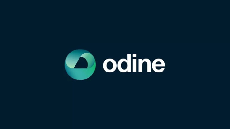 Odine hisselerine inceleme... SPKdan 21 kişi için suç duyurusu Odine hisselerine inceleme... SPKdan 21 kişi için suç duyurusu