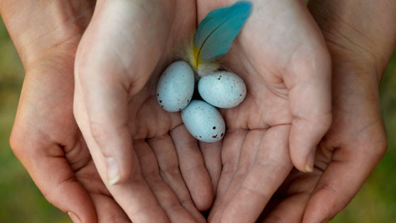 Akraba evlikleri erkekleri kısır bırakıyor