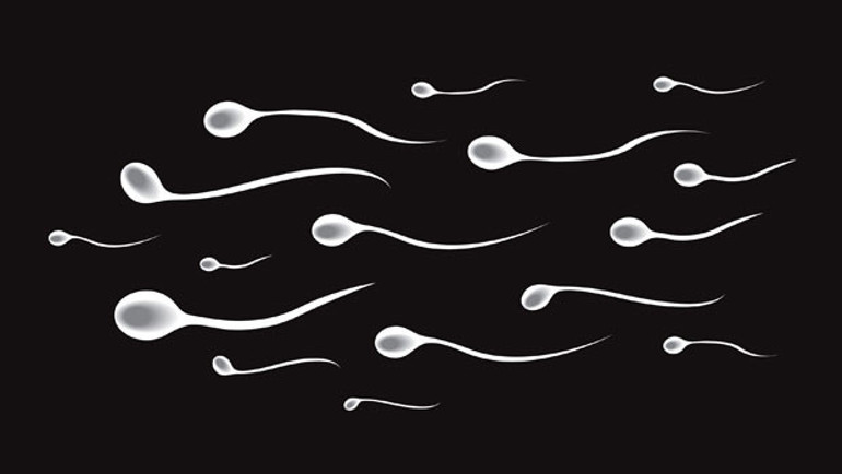 Dünya gittikçe kısırlaşıyor erkeklerde sperm sayısı azalıyor