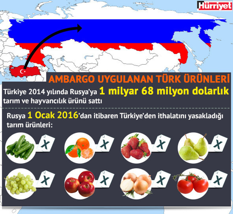 Rusya, Akkuyu Nükleer Santrali inşaatını fiilen durdurdu iddiası