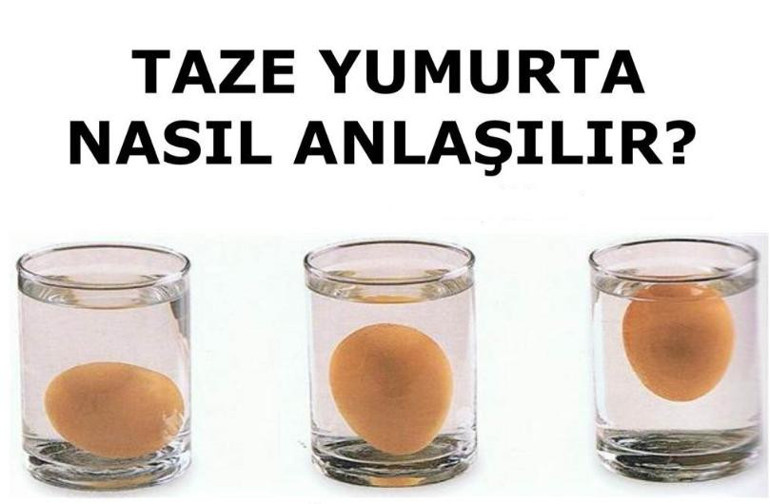 Beyaz ve kahverengi yumurta arasındaki fark nedir