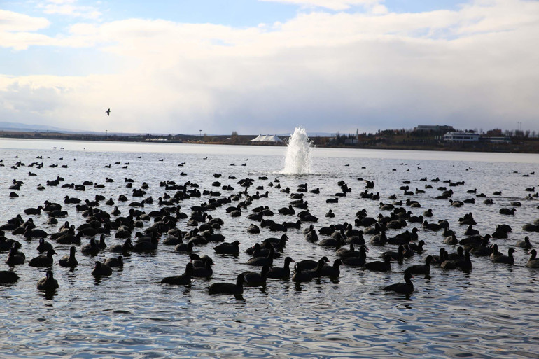 Tüm yurt beyaza büründü