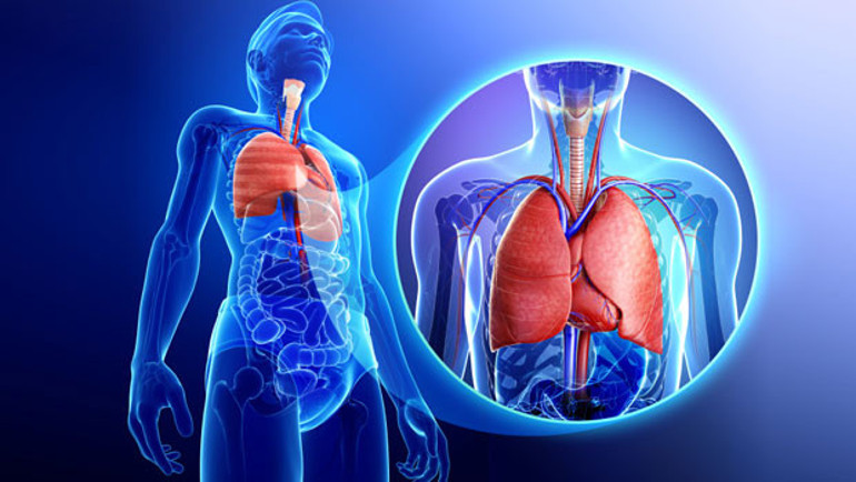 Astım ataklarından korunmanın 10 yolu