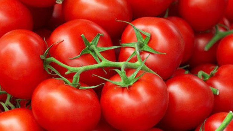 Vücuttan toksinleri atan 20 besin