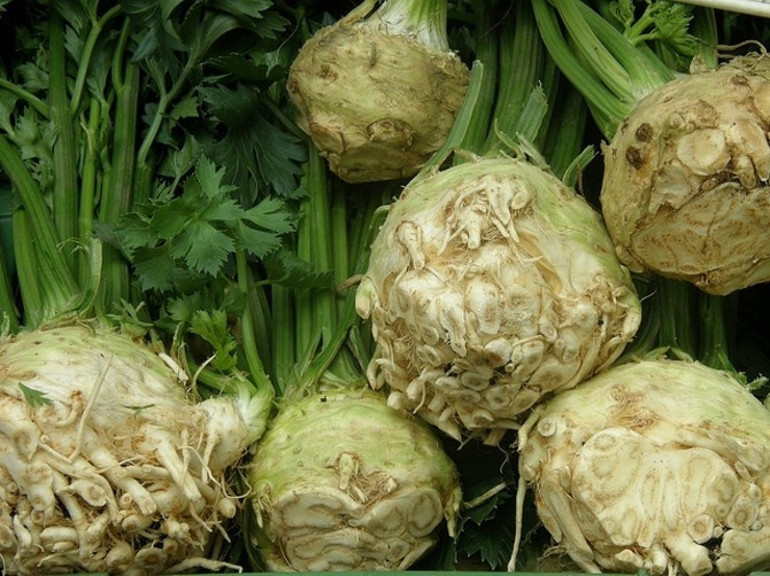 Vücuttan toksinleri atan 20 besin