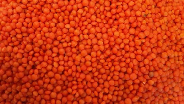 Vücuttan toksinleri atan 20 besin