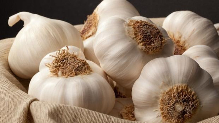 Vücuttan toksinleri atan 20 besin