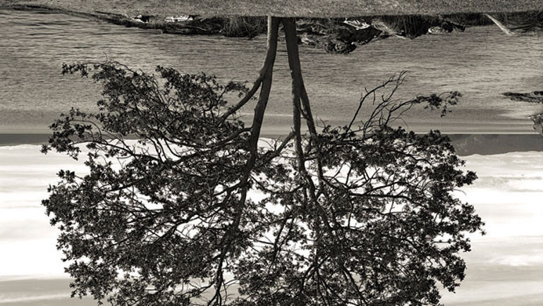 İstanbul Modern’de doğal hayat zamanı