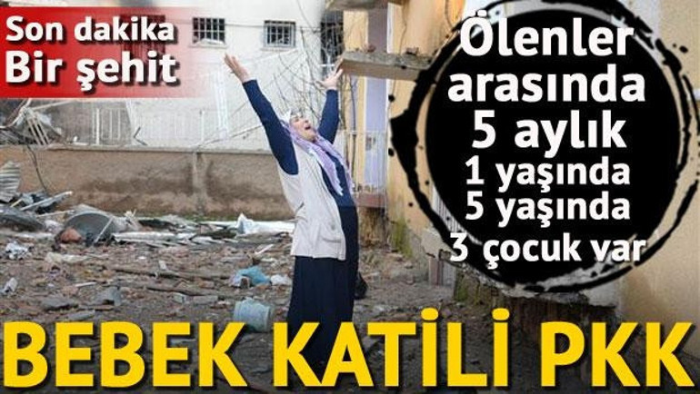 PKKlı teröristler İdil’de öğrenciler bulunduğu sırada 8 okul ve 1 yurda saldırdı