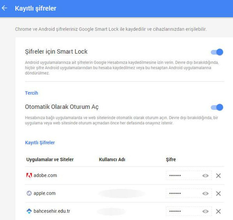 İşte Chromeun tüm şifrelerinizi sakladığı havuzu