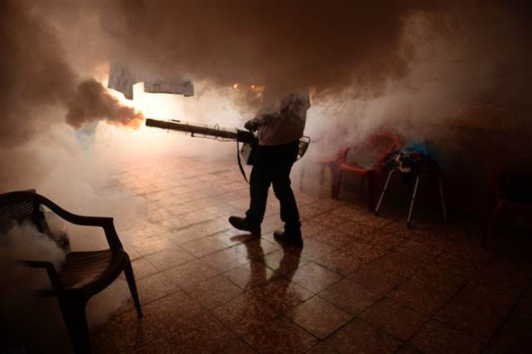 El Salvadorda Zika virüsü nedeniyle kadınlara hamile kalmamaları önerildi
