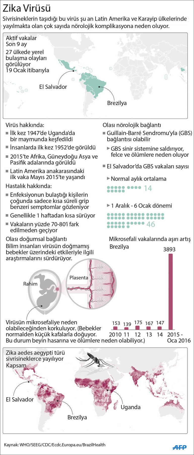 Zika bu kez de Danimarkada görüldü İşte virüsle ilgili bilmeniz gereken her şey