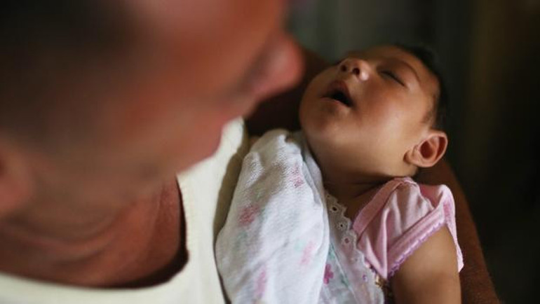 Zika’yı bulaştıran Aedes cinsi Türkiyede var