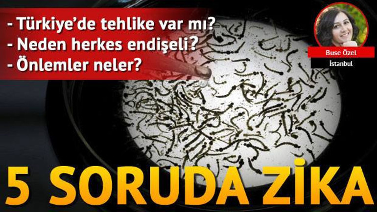 Zika’yı bulaştıran Aedes cinsi Türkiyede var