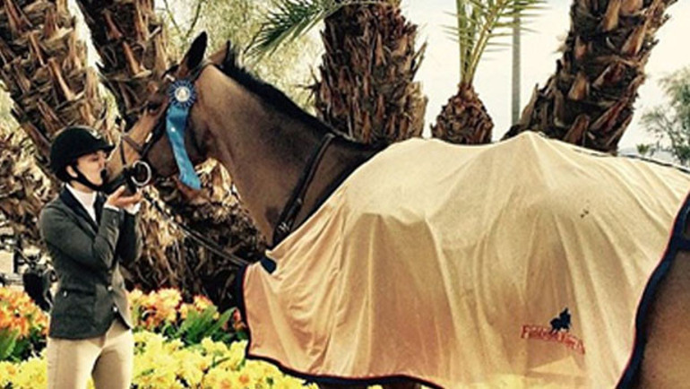 Kaley Cuoco diziden kazandığı milyonları atlara yatırdı
