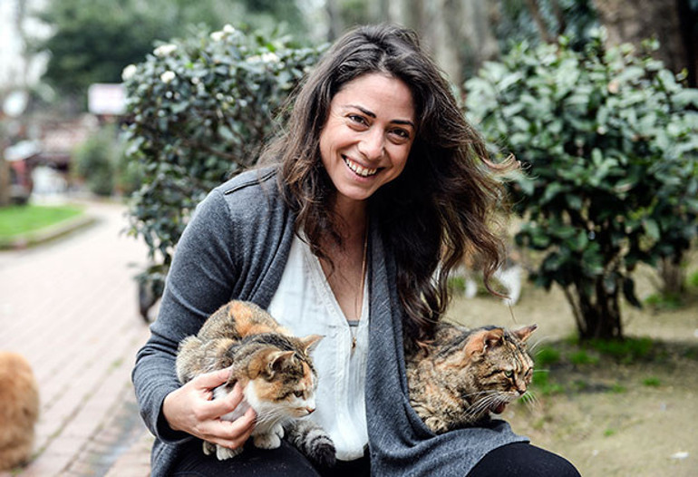 İstanbul’da kedi, dünyada örneği olmayan bir şey