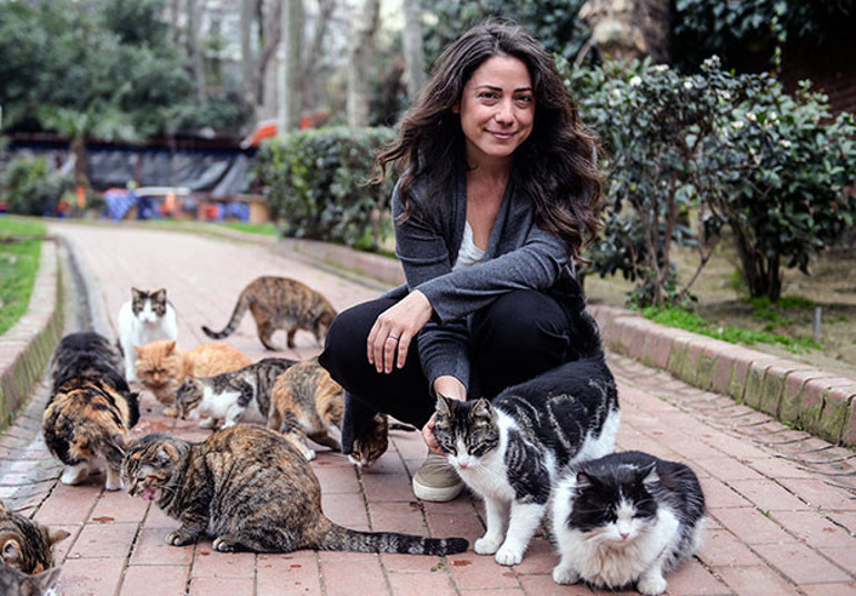 İstanbul’da kedi, dünyada örneği olmayan bir şey