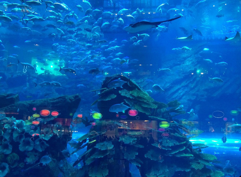 Çölün içinde bir cennet: Dubai