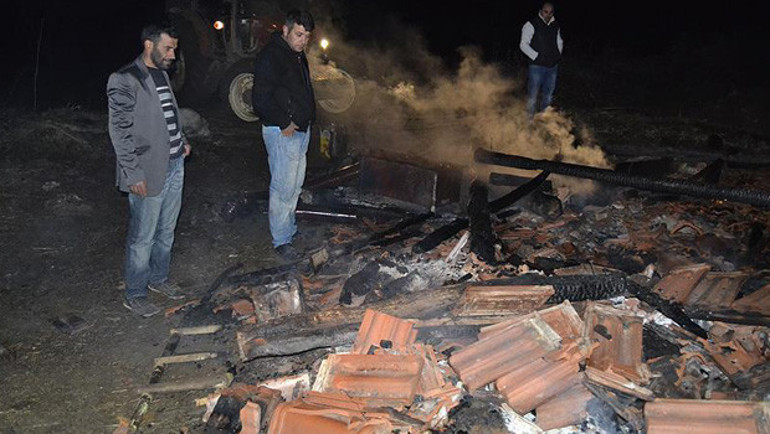 207 koyundan geriye Yadigar kaldı
